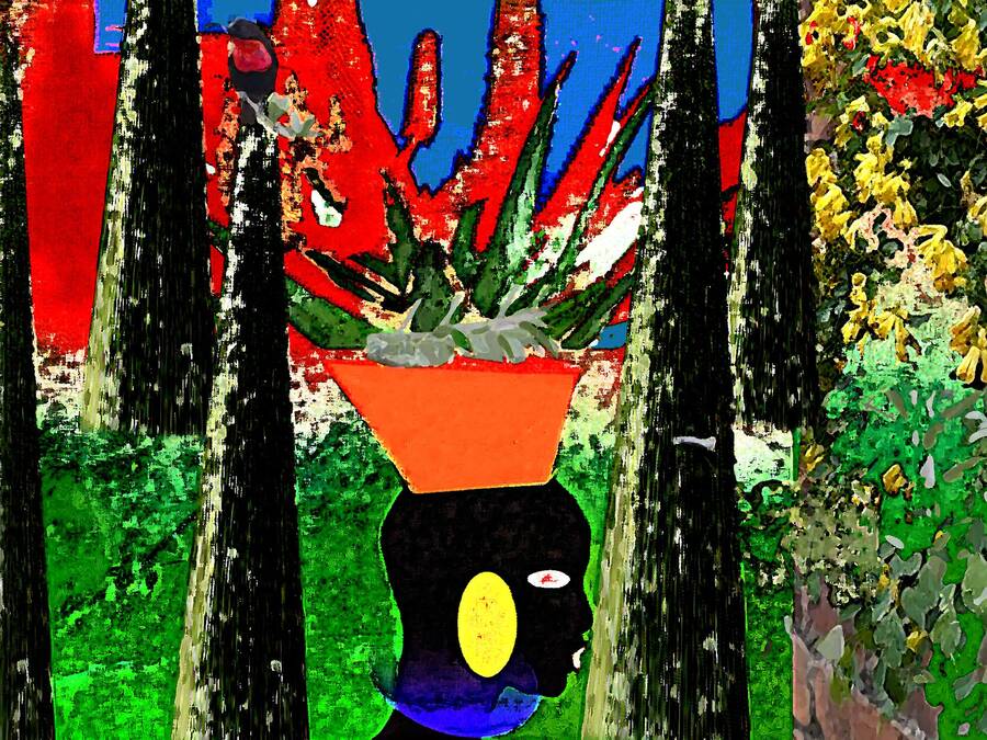 Pilipili by Rachel Alice